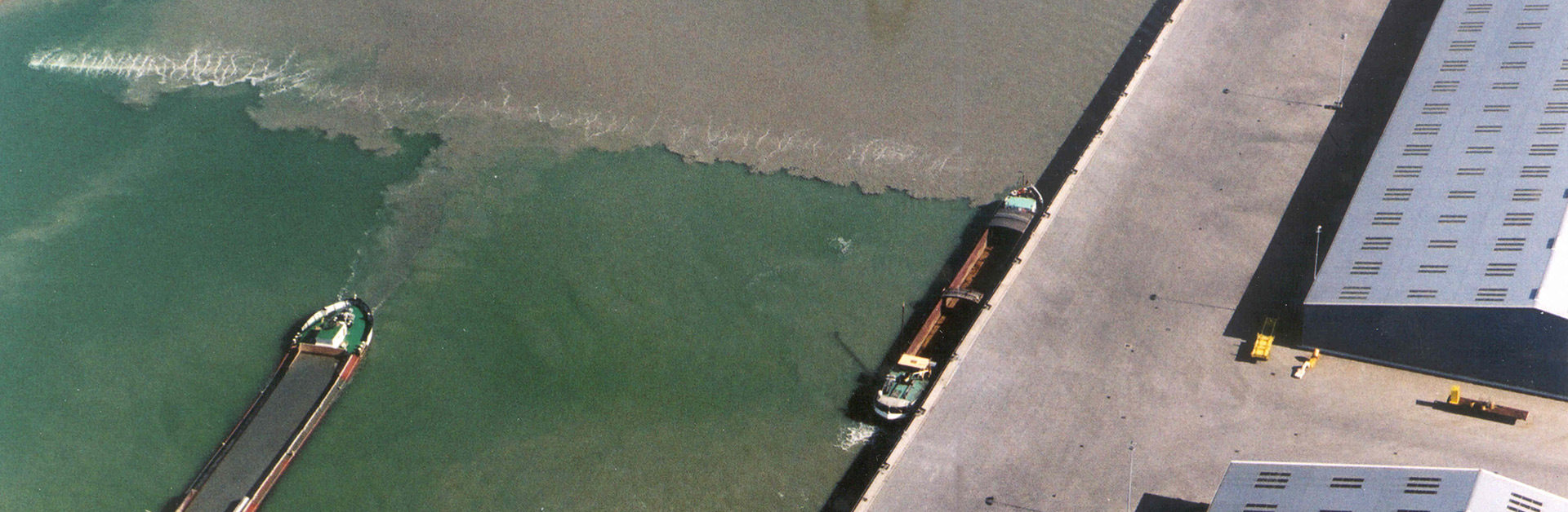 Turbidity is a leading factor in causing underwater disturbances to